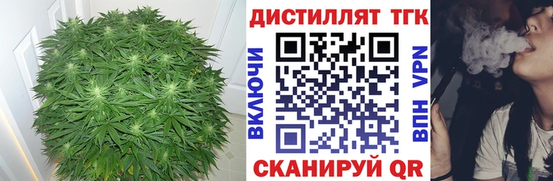 Купить  Бикин  ТГК THC oil 